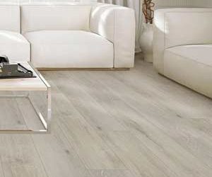 COREtec PROPlus: Carpets Plus Sale