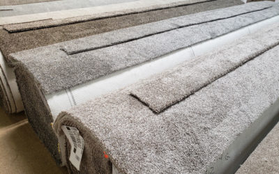 Shaw Carpet BLACK FRIDAY Special