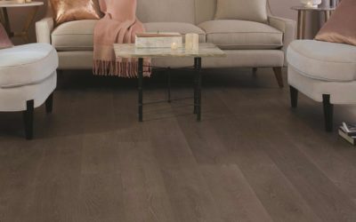 Quick-Step Provision Collection – Carpets Plus Sale