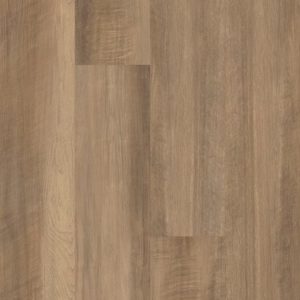 SHAW RESILIENT: VIGOR 512C PLUS