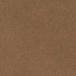 SHAW FLOORS VALUE: BORN BETTER (S)