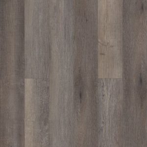 SHAW RESILIENT: PARAGON 5" PLUS