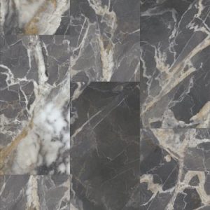 SHAW RESILIENT: PARAGON TILE PLUS