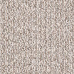 SHAW FLOORS RETAIL: DANIA 12