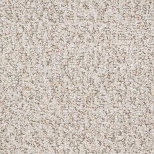 SHAW FLOORS VALUE: FIRST ACT 12