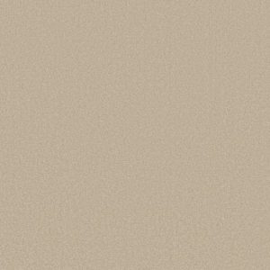 SHAW FLOORS RETAIL: ULTIMATE EXPRESSION 12'