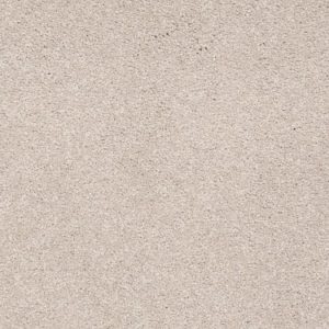 SHAW FLOORS RETAIL: DIVIDING LINE 15'