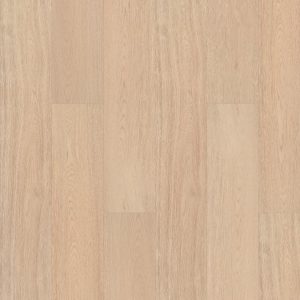 SHAW RESILIENT: PRODIGY HDR PLUS