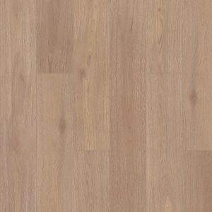 SHAW RESILIENT: PRODIGY HDR PLUS