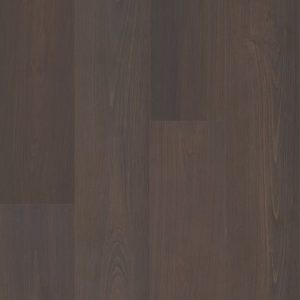 SHAW RESILIENT: PRODIGY HDR MXL PLUS