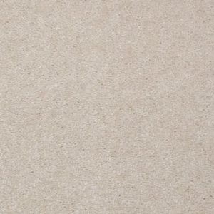 SHAW FLOORS VALUE: ATHERTON