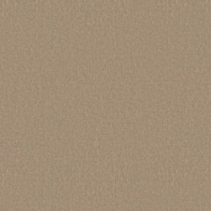 SHAW FLOORS VALUE: CASCADE II