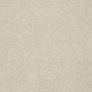 SHAW FLOORS VALUE: DESIGN TEXTURE PLATINUM 12'