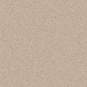 SHAW FLOORS VALUE: DYERSBURG II 12'