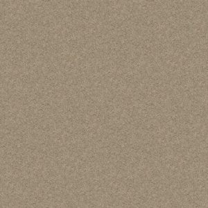 SHAW FLOORS VALUE: MAYVILLE 12'