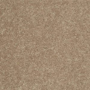 SHAW FLOORS VALUE: MAYVILLE 15'