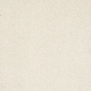 SHAW FLOORS RETAIL: TAKE THE FLOOR TEXTURE I