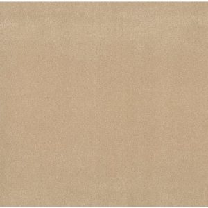 SHAW FLOORS RETAIL: TAKE THE FLOOR TEXTURE II