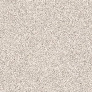 SHAW FLOORS RETAIL: TAKE THE FLOOR TONAL I