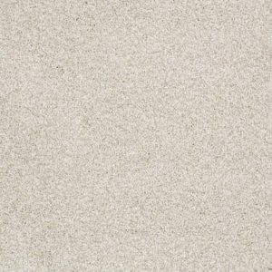 SHAW FLOORS RETAIL: TAKE THE FLOOR TONAL II