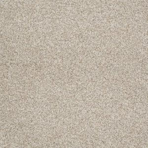 SHAW FLOORS RETAIL: TAKE THE FLOOR TONAL BLUE