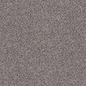 SHAW FLOORS RETAIL: TAKE THE FLOOR ACCENT II