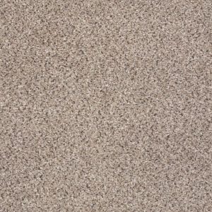 SHAW FLOORS RETAIL: TAKE THE FLOOR ACCENT BLUE