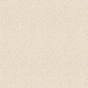 SHAW FLOORS RETAIL: TAKE THE FLOOR TWIST I