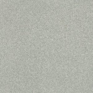 SHAW FLOORS NET: FYC NS II NET