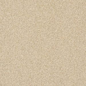 SHAW FLOORS NET: FYC TT II NET