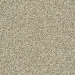 SHAW FLOORS NET: CABANA BAY TONAL NET