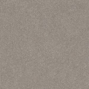 SHAW FLOORS RETAIL: MONTAGE I