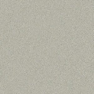 SHAW FLOORS RETAIL: MONTAGE II