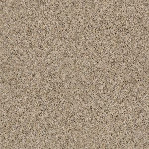 SHAW FLOORS RETAIL: ABSOLUTELY IT