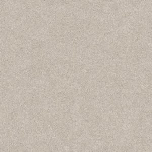 SHAW FLOORS RETAIL: HARMONIOUS II