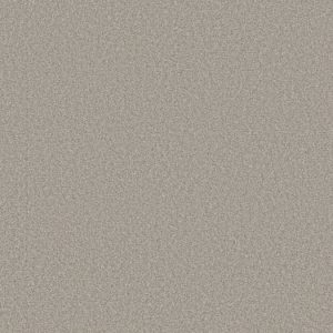 SHAW FLOORS RETAIL: HARMONIOUS I