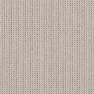 SHAW FLOORS RETAIL: FAINT INTENT