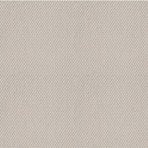 SHAW FLOORS RETAIL: NATURALISTIC
