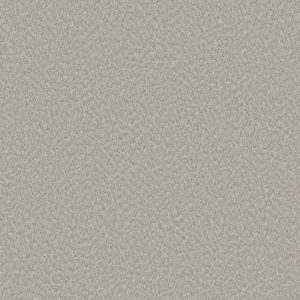SHAW FLOORS RETAIL: ALLURING CANVAS