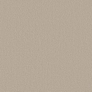 SHAW FLOORS RETAIL: FINE TAPESTRY