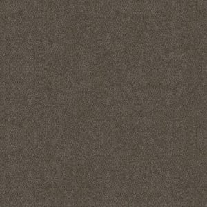 SHAW FLOORS RETAIL: BOUNDLESS III
