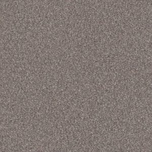 SHAW FLOORS RETAIL: TRUSPIRIT I