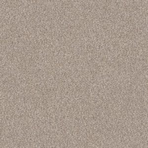 SHAW FLOORS RETAIL: TRUSPIRIT II