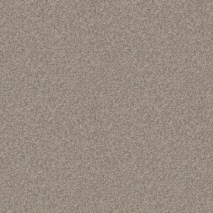 SHAW FLOORS NET: INFLUENCER NET