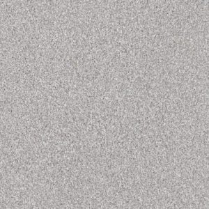 SHAW FLOORS NET: GRANDIOSE NET