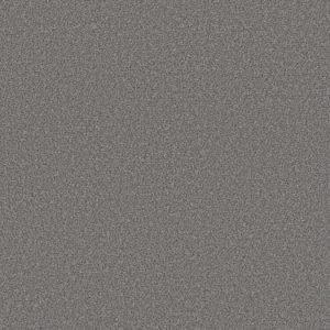 SHAW FLOORS NET: BOUNDLESS I NET