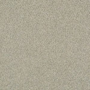 SHAW FLOORS NET: BOUNDLESS II NET