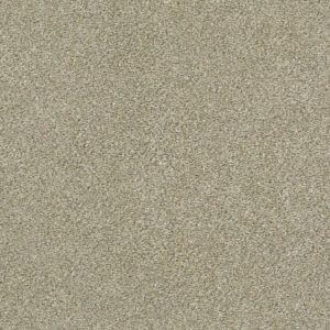 SHAW FLOORS NET: BOUNDLESS III NET