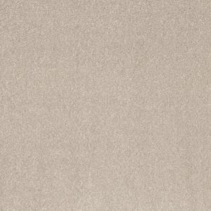 SHAW FLOORS RETAIL: SMOOTH TALK I