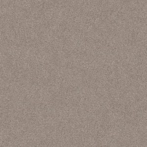 SHAW FLOORS RETAIL: SWEET INSPIRATION I